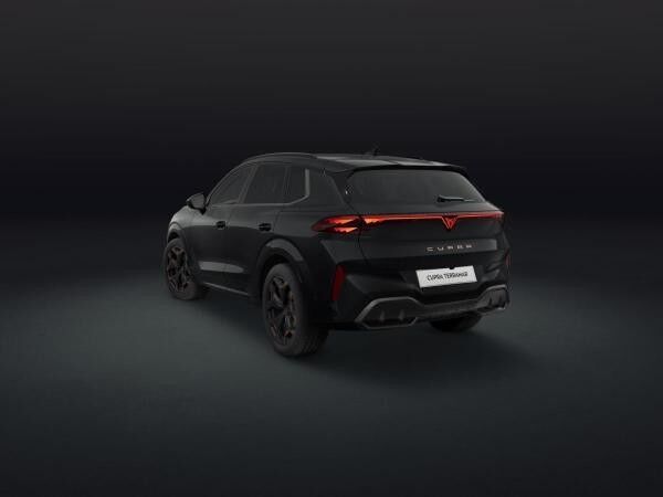 Cupra Terramar CUPRA Terramar 2.0 TSI 150 kW (204 PS) 7-Gang DSG 4Drive**Loyalisierungsprämie**