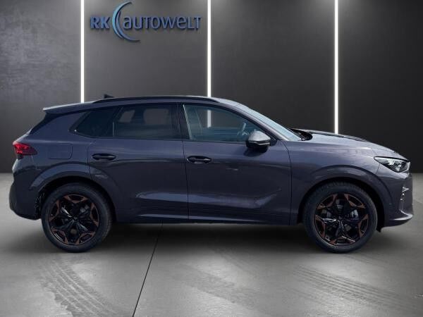 Cupra Terramar 2.0 TSI DSG 4Drive Matrix Sennheiser AHK