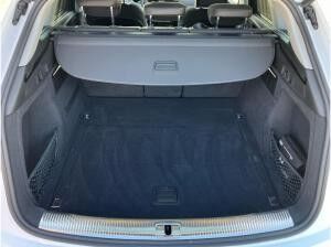 Audi Q5 advanced 50 TDI quattro / Matrix, Air, 360°