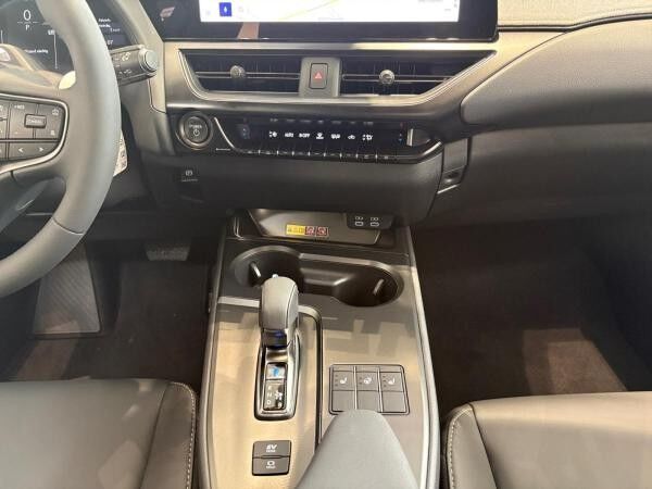 Lexus UX-300h UX 300h F Sport Design Sitzhzg+ Parkassist+Sofort*