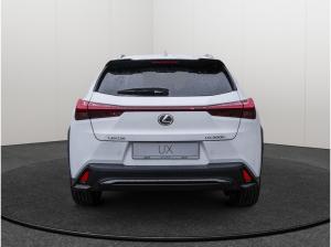 Lexus UX-300h UX 300h F Sport Design Privatleasing