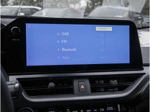 Lexus UX-300h UX 300h F Sport Design Privatleasing