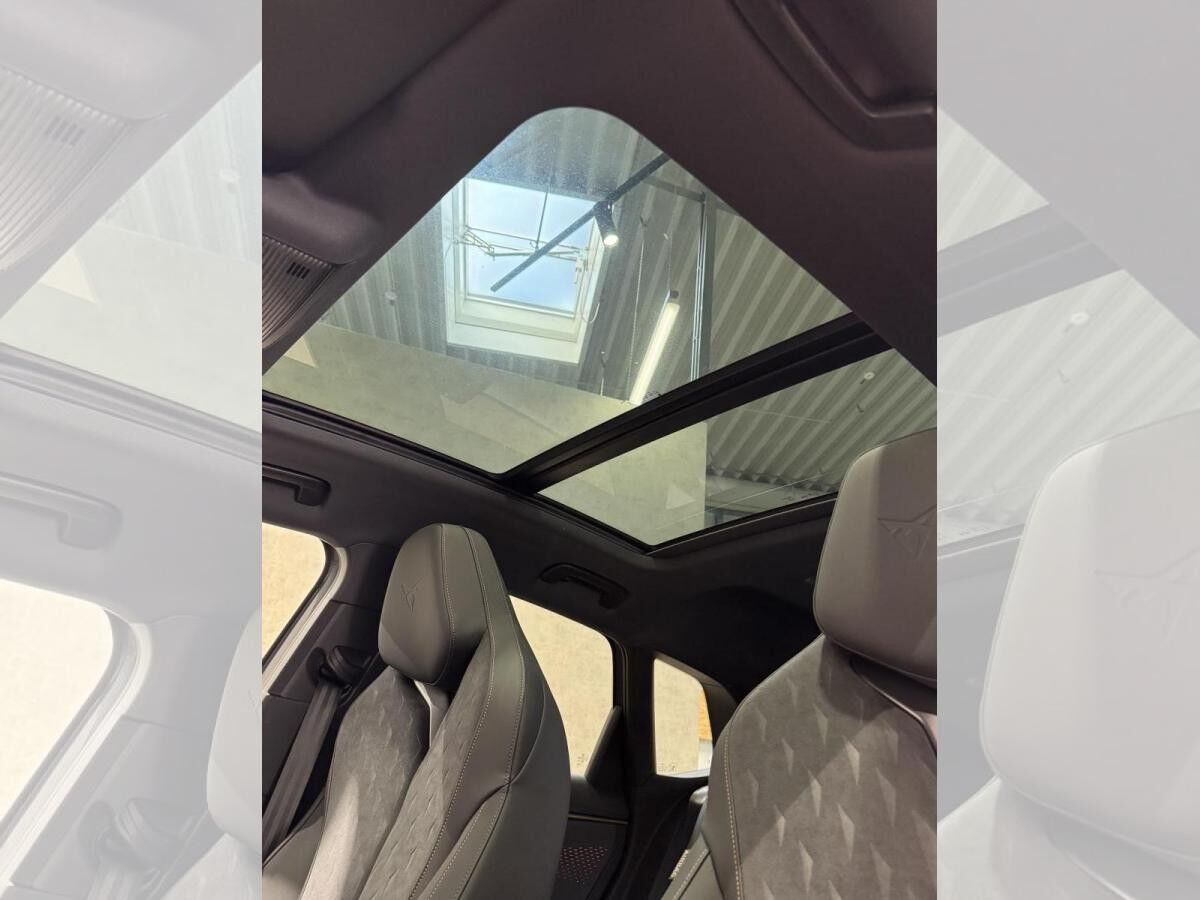 Cupra Terramar VZ 2.0 TSI 195 kW (265 PS) 7-Gang DSG *Digital Drive Paket*Sennheiser*Sofort verfügbar