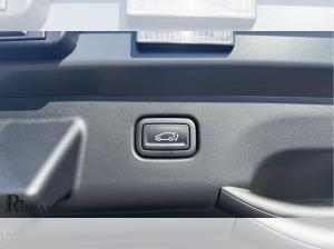 Kia EV4 81,4 kWh Earth + Technology-Paket