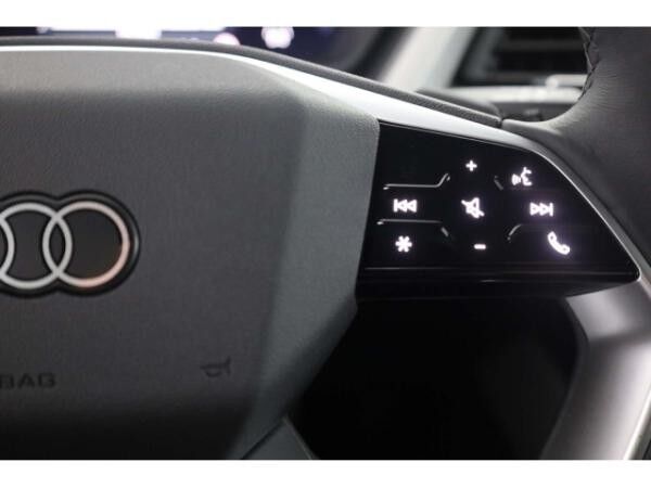 Audi Q4 e-tron e-tron 45 qu. S line W-Pumpe/Matrix/NAV/Virt.