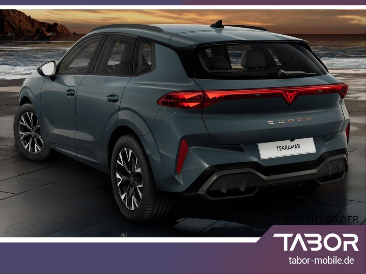 Cupra Terramar 1.5 eTSI 150 DSG LED VirCo SHZ Kam PDC