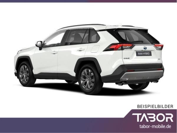 Toyota RAV 4 2.5 Hybrid 222 4x4 Team D el.HK SHZ DigC