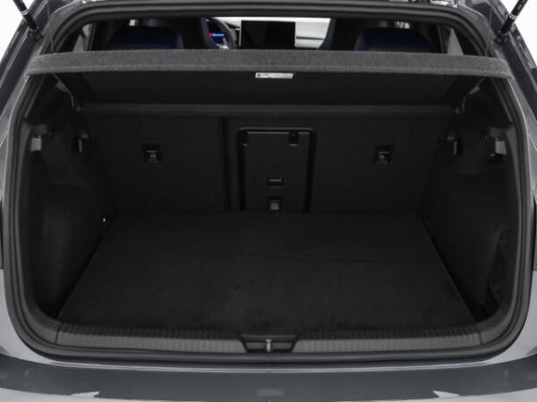 Volkswagen Golf R BLACK EDITION 2.0 TSI 4M DSG Pano Navi Winter