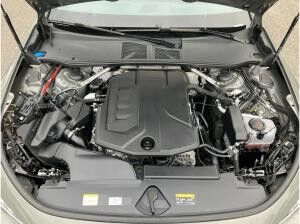 Audi A5 Avant advanced TFSI / Navi+, Tech, AHK, LED+