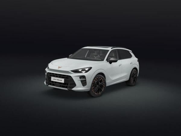 Cupra Terramar VZ 2.0 TSI- 4Drive  (Dormagen)