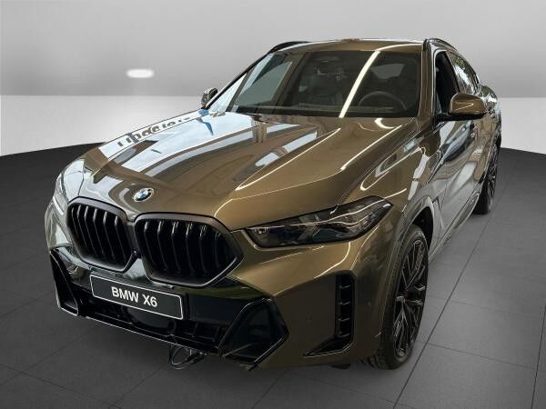 BMW X6 Baureihe (G06N)