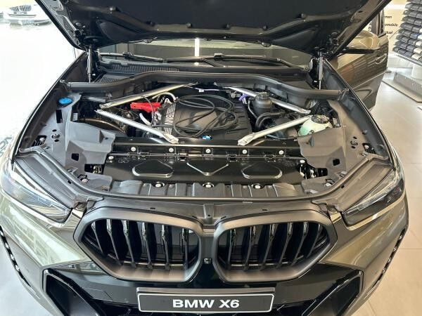 BMW X6 Baureihe (G06N)