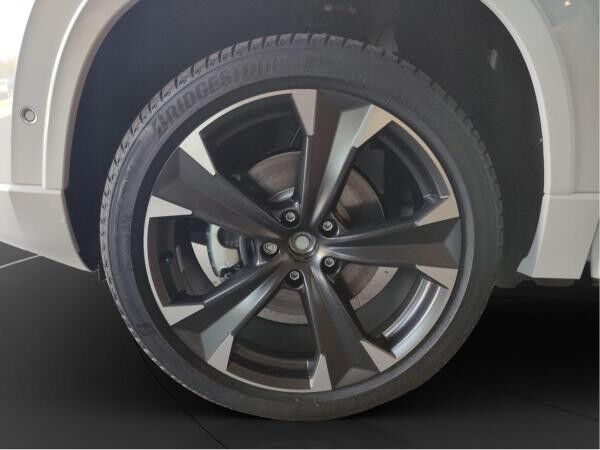 Cupra Ateca 2.0 TSI DSG 4Drive Businesspaket AHK