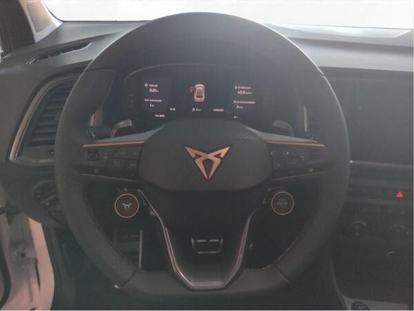 Cupra Ateca 2.0 TSI DSG 4Drive Businesspaket AHK