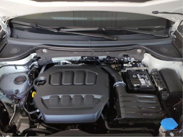 Cupra Ateca 2.0 TSI DSG 4Drive Businesspaket AHK