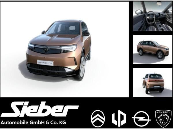 Opel Grandland Electric Edition h Batterie **Gewerbehammer**
