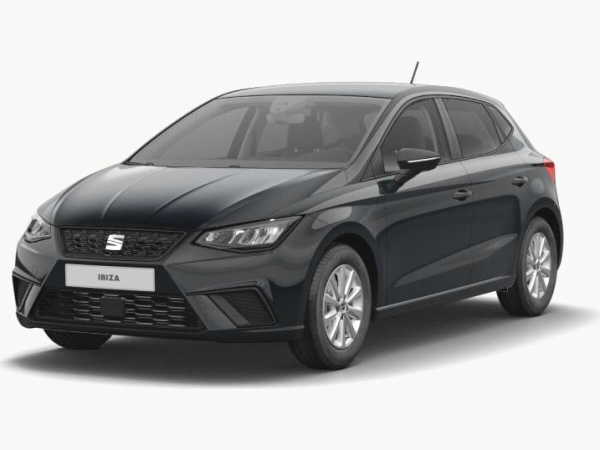 Seat Ibiza Road Edition Winter-Paket, Navi & Full Link