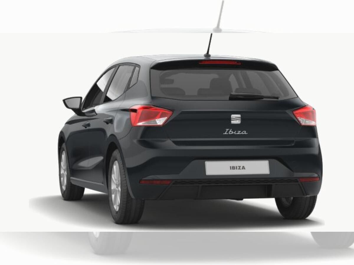Seat Ibiza Road Edition Winter-Paket, Navi & Full Link