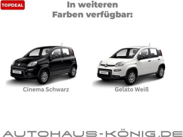 Fiat Panda Eurostar | 2 Jahre Herstellergarantie | Gesenkte Bereitstellungskosten❗️