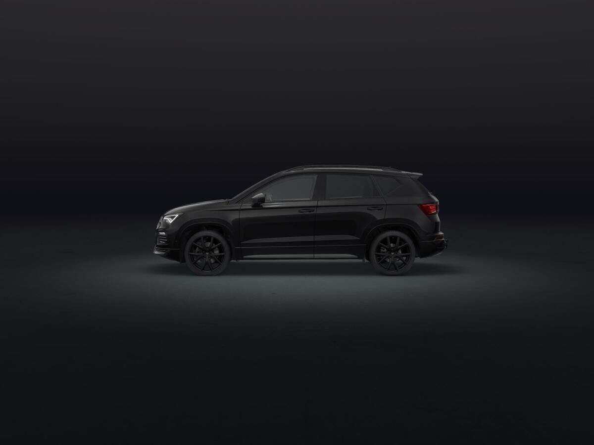 Cupra Ateca Tribe Edition AHK,360 Grad, CUPRA PLUS