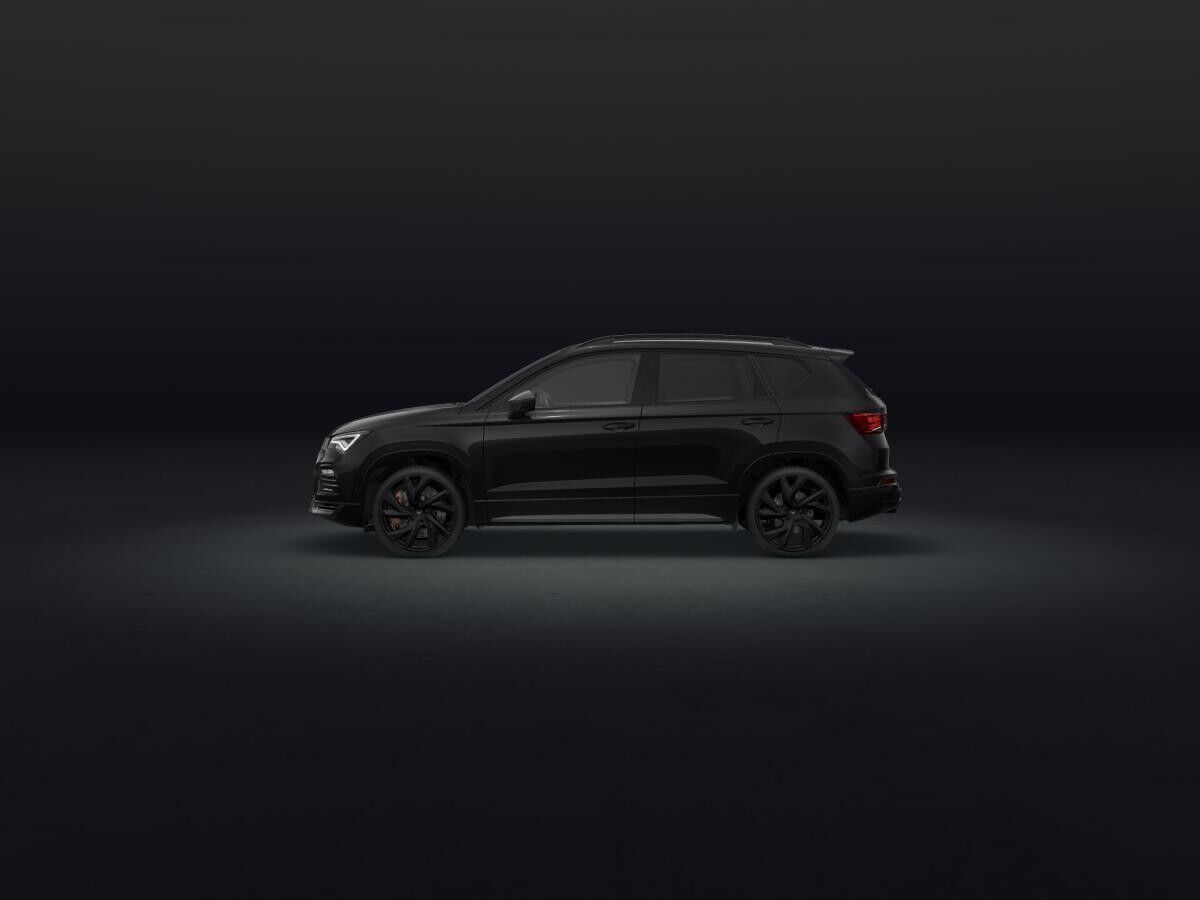 Cupra Ateca VZ Tribe Edition AHK, Fahrassistenz-Paket