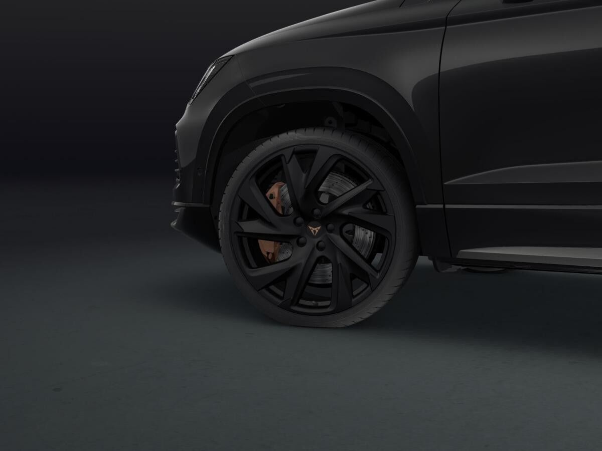 Cupra Ateca VZ Tribe Edition AHK, Fahrassistenz-Paket