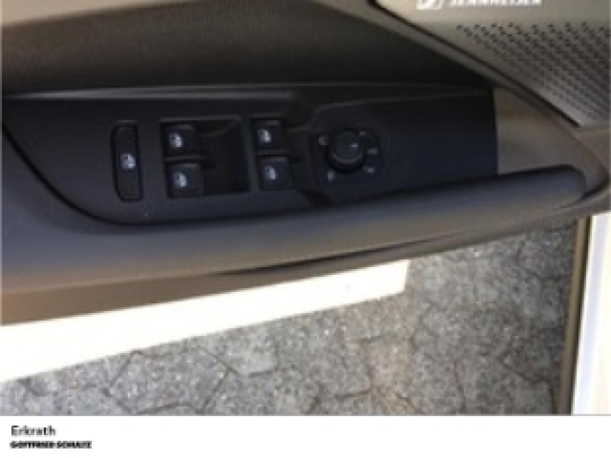 Cupra Terramar 2.0 TSI - 4DRIVE  (Erkrath)