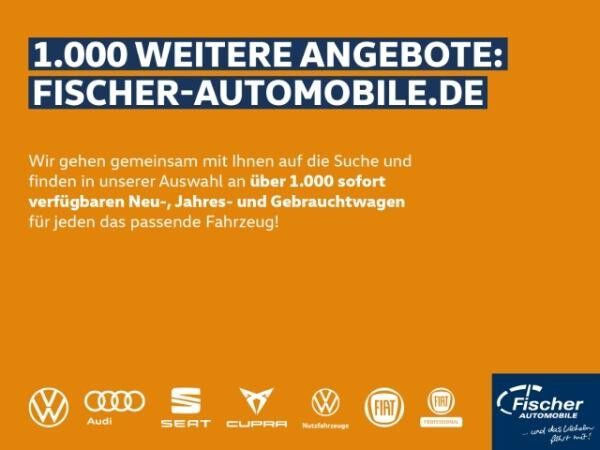 Audi Q4 e-tron e-tron 45 AHK/19''/GRA/W-Pumpe