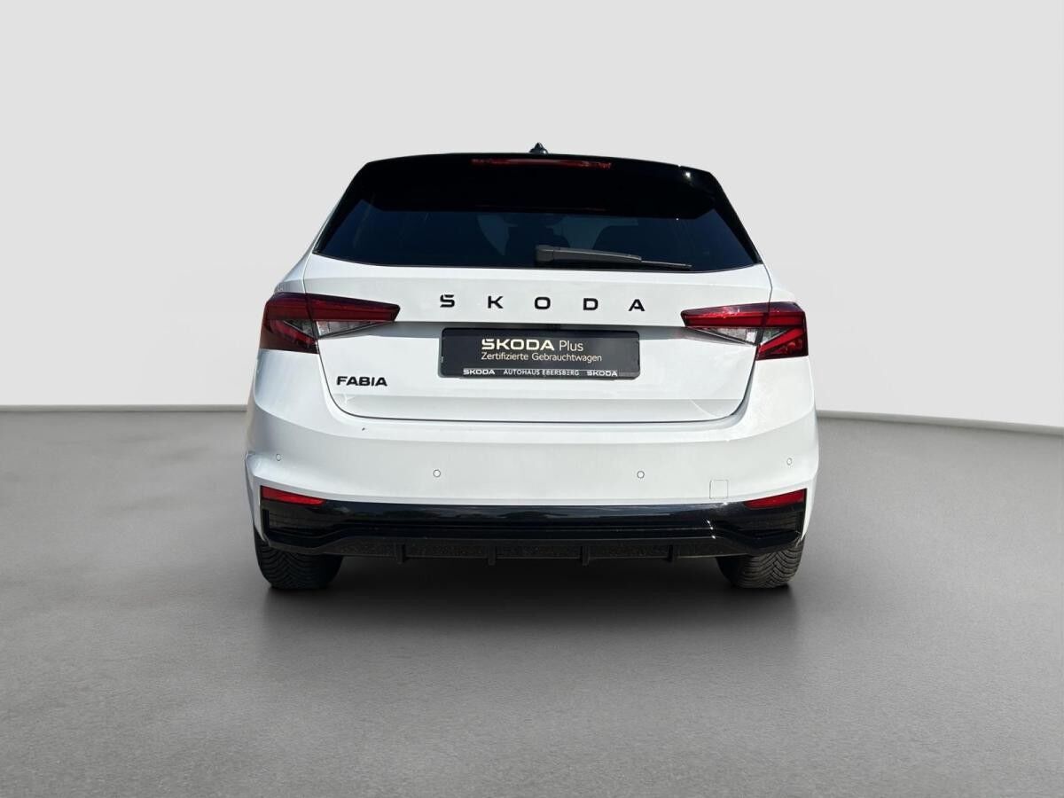 Skoda Fabia Monte Carlo 1.0 TSI Sportsitz Licht-Assist