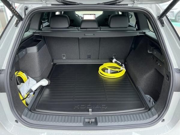 Skoda Kodiaq 1.5 TSI iV Sportline *AHK*N
