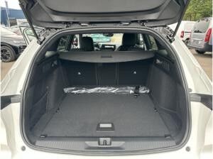 Opel Astra L Sports Tourer Edition 1.6 PHEV BESTELLFAHRZEUG