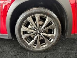 Lexus UX-300h UX 300h F Sport Design Sitzhzg+ Parkassist+1,99%