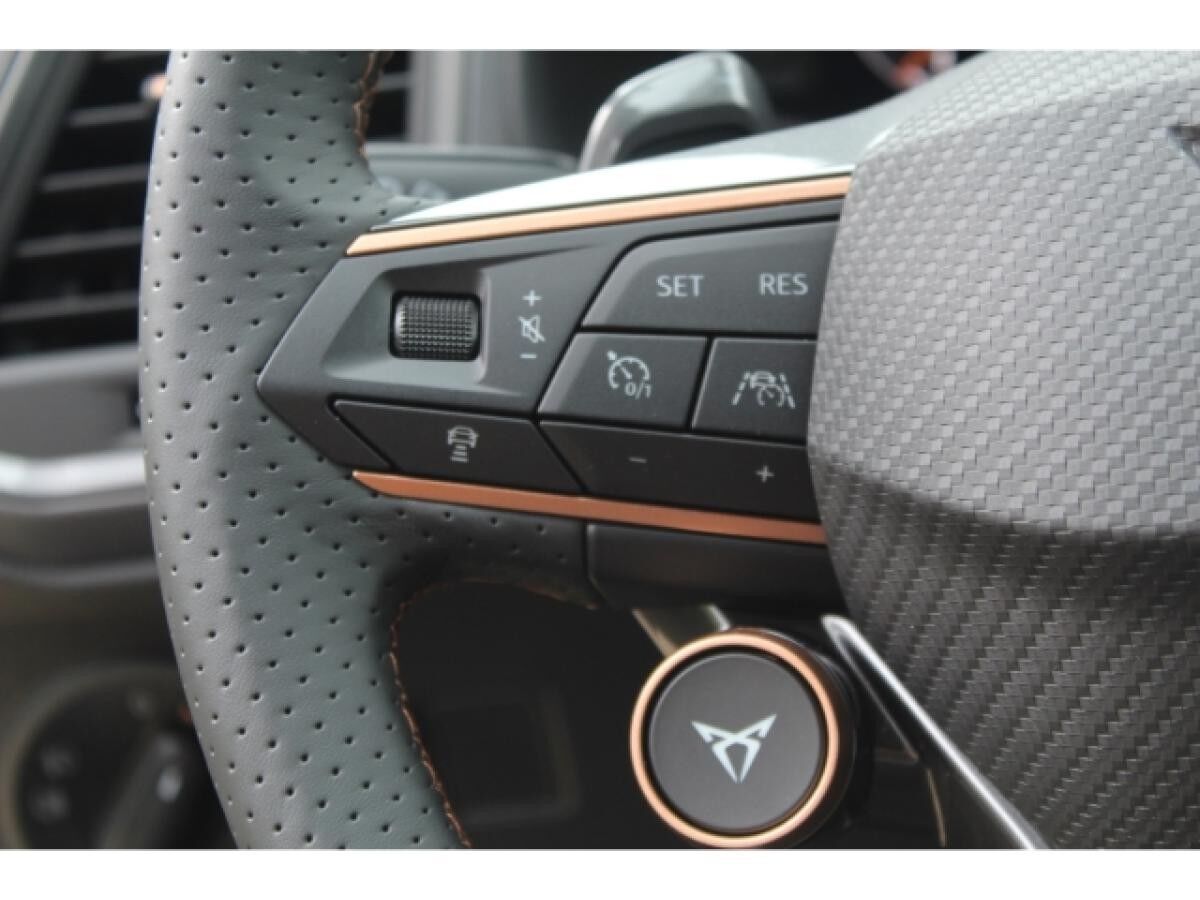 Cupra Ateca 2.0 TSI DSG 4Drive VZ AHK 360 KAMERA DCC SHZ GRA DAB 19