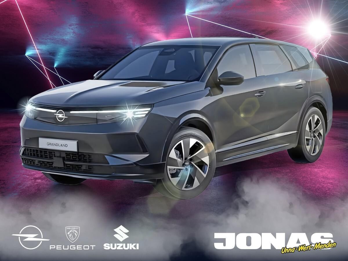 Opel Grandland Electric  Edition ❗❗KURZFRISTIG VERFÜGBAR❗❗ NAVI R-Kamera Allwetter