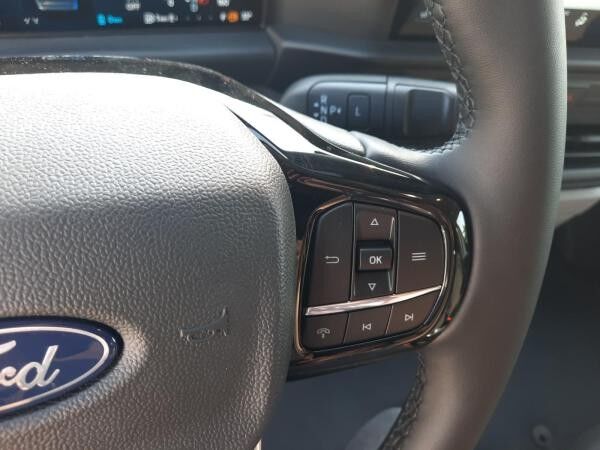 Ford Transit Custom 2.5l PHEV Kasten 320L1 Trend AHK