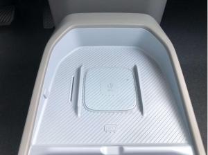 Kia EV3 81.4 Earth Business Paket Winter/Connect Paket