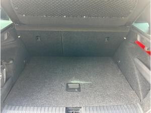 Skoda Kamiq Selection 1.5 TSI Pano ACC Kamera MATRIX
