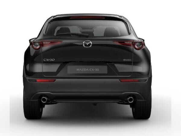 Mazda CX-30 5WGN 2.5L e-SKYACTIV G 140ps 6MT FWD Homura