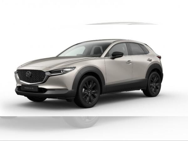 Mazda CX-30 5WGN 2.5L e-SKYACTIV G 140ps 6MT FWD Homura