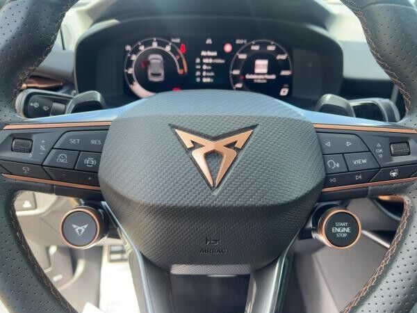 Cupra Terramar 1.5 eTSI DSG Sitzhzg LED Link Kamera