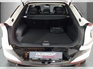 Kia EV6 84 kWh 168 kW Heckantrieb Earth