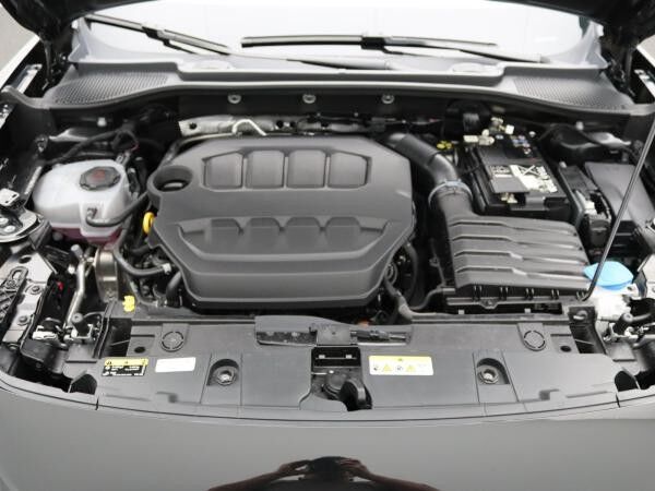 Cupra Formentor VZ 2.0 TSI 4Drive DSG / Matrix, Pano
