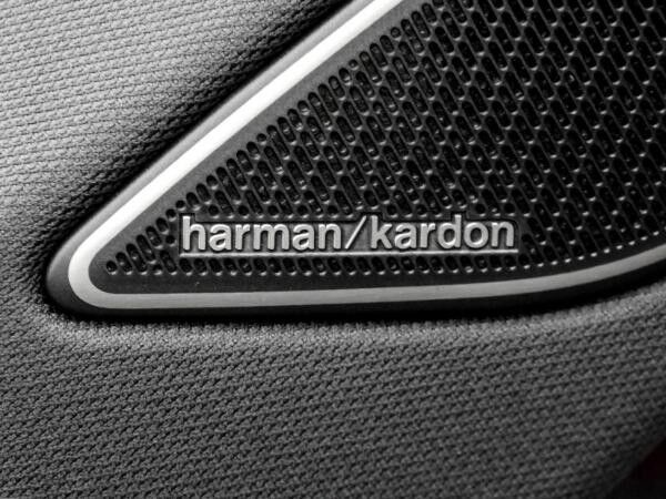 Volkswagen Passat Variant R-Line 2.0 TDI DSG ACC AHK MATRIX NAVI KAMERA Keyless