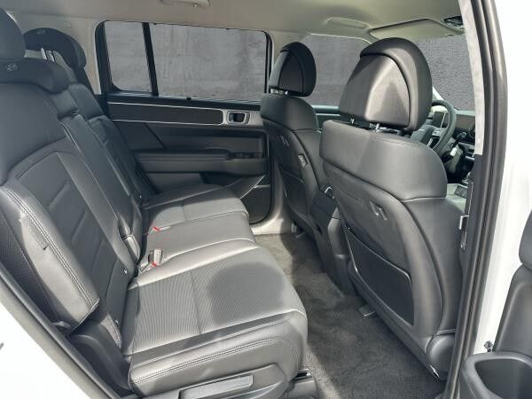 Hyundai Santa Fe HEV 5-Sitzer 1.6 T-GD 4WD Intro >Sofort Verfügbar<