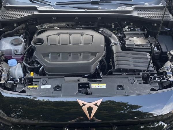 Cupra Formentor 2.0 TSI VZ Extreme 4Drive DSG Kamera Panorama