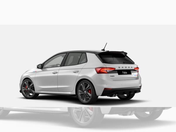 Skoda Fabia 130 JAHRE EDITION 🏁🔥