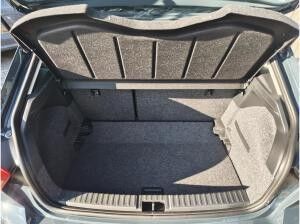 Seat Ibiza 1.0 TSI DSG Road Edition *Voll LED, SHZ, Kessy*