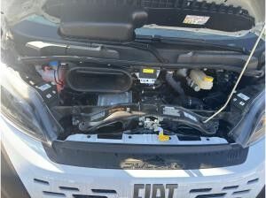 Fiat Ducato Kastenwagen MY25 L3H2/L4H2 3,5T 140 MT Vollaustattung