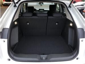 Honda e:Ny1 ADVANCE PAKET