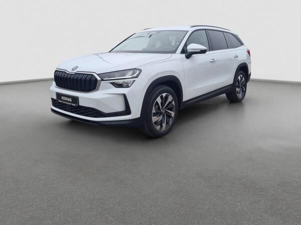 Skoda Kodiaq 2.0 TDI 4x4 Selection StHzg Kamera Navi